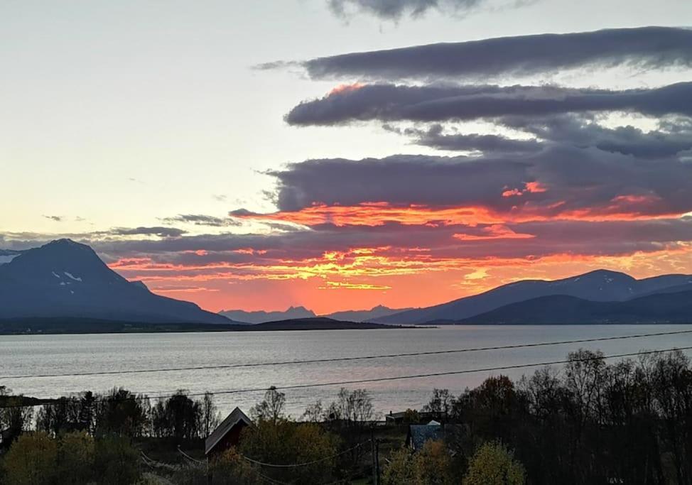 Liten Kjellerleilighet. Landlig Rolig Omrade. Tromsø Extérieur photo